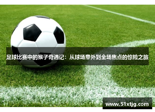 足球比赛中的猴子奇遇记：从球场意外到全场焦点的惊险之旅