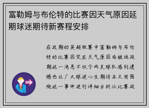 富勒姆与布伦特的比赛因天气原因延期球迷期待新赛程安排